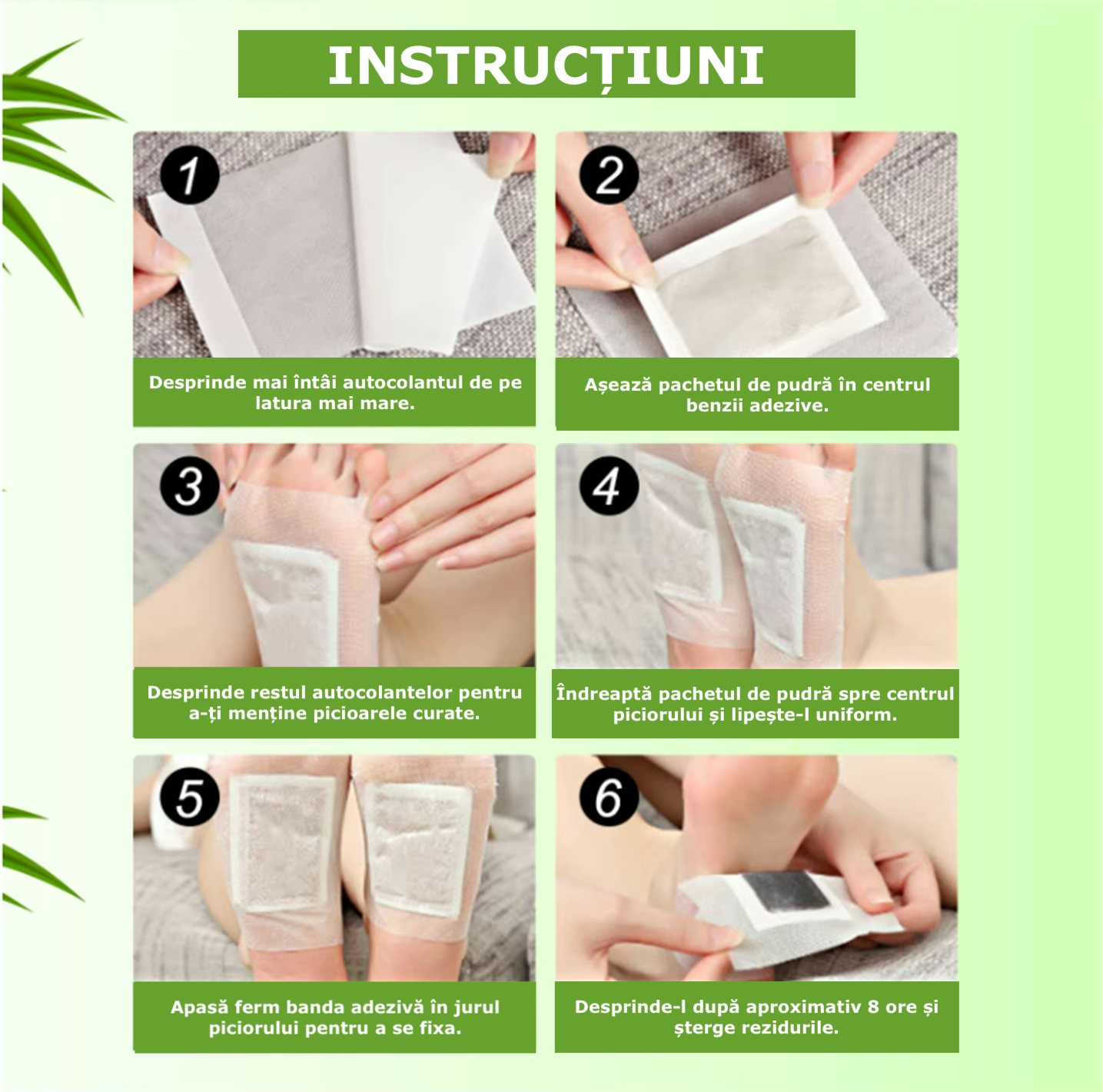 instructiuni